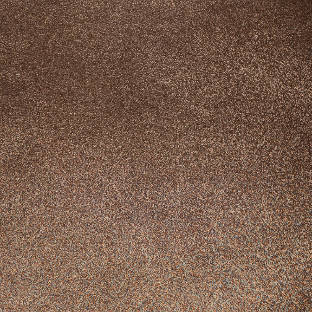 Indulge premium suede